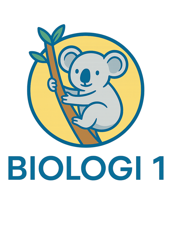 En koala som representerar kursen Biologi 1